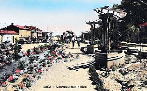 Blida - Jardin Ricci nouveau